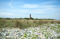  Küstenschutzanlage mit Dünengras und Leuchtturm bei Behrensdorf an der Ostseeküste