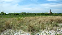  Sommerlandschaft mit Dünengras bei Behrensdorf an der Ostsee