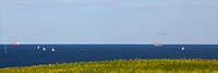  Der Leuchtturm Kiel am Horizont der Ostsee und eine Blütenwiese bei Stohl an einem sonnigen Frühlingstag