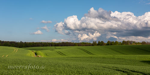 Die hügelige Landschaft zwischen Heikendorf und Probsteierhagen an einem sonnigen Frühlingstag mit markanten Wolken