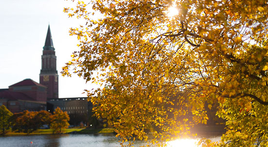 Das Kieler Rathaus im herbstlichen Gegenlicht der Sonne am Kleinen Kiel – Baum im Fokus