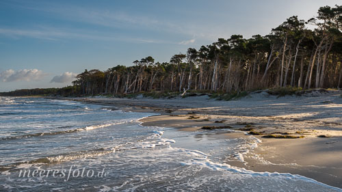  Wellen der Ostsee und der Waldrand im Nationalpark an einem frühen Morgen