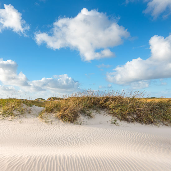 Die Dünen vor Sankt Peter Ording an einem Sommertag mit frischer Meeresbrise