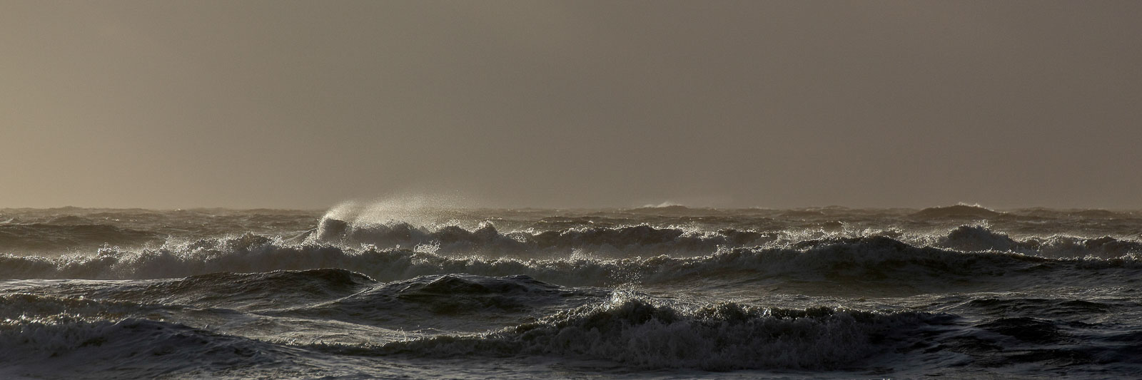 Wellenkämme der Nordsee vor der tief stehenden Sonne bei starkem Westwind vor Sankt Peter-Ording