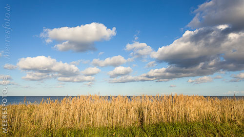  Wolken am blauen Sommerhimmel und Strandhafer an der Ostsee beim Stakendorfer Strand