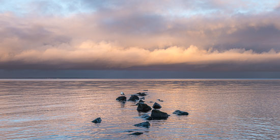 Eine Steinbuhne mit Möwe vor dem abendlichen Horizont am Timmendorfer Strand