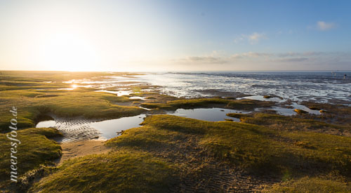  Das Nordseewatt und das bewachsene Ufer auf Westerhever im Gegenlicht der Sonne
