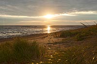  »Strandhafer auf Amrum im Gegenlicht – sonnenwarm, Querformat« DETAIL: Ein kleiner Abschnitt mit Strand, direkt am Wattenmeer auf Amrums Ostseite. Am Horizont erkennt man einige Haligen.