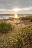  »Strandhafer auf Amrum im Gegenlicht« DETAIL: Ein kleiner Abschnitt mit Strand, direkt am Wattenmeer auf Amrums Ostseite. Auf den kleinen Dünen wächst Strandhafer.