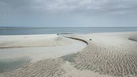  »Rinnsal am Nordwest-Strand von Amrum« DETAIL: Das ablaufende Wasser der Nordsee, hat einen kleinen Bachlauf in Richtung Meer freigespült.
