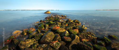 Mit Algen bewachsene Steinbuhne am Strand von Laboe