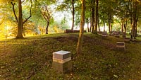  Der Ehrenfriedhof Karberg am Haddebyer Noor – 018 –  DETAIL: Sanftes Herbstlicht fällt durch die Blätter der Bäume und taucht diese beeindruckende Kriegsgräberstätte in ein magisches und sehr warmes Licht.