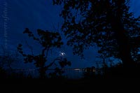  Blick von Strande auf Kiel-Schilksee bei Nacht –  DETAIL: Am Rande des Wanderweges von Strande zum Leuchtturm Bülk, stehen viele vom Seewind recht wild geformte Eichen. Sie geben in dieser sommerlichen Mondnacht, auf dem Foto, den Blick nach Kiel-Schilksee frei.