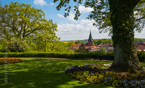 Blick vom Vogelberg in Lütjenburg auf die St. Michaelis-Kirche und blühende Rapsfelder und Bäume der Holsteinischen Schweiz