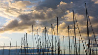  Heikendorf – Mai-00215 –  DETAIL: Masten von Segelbooten im Ostsee-Yachthafen von Heikendorf-Möltenort vor Abendwolken die vom warmen Licht der späten Sonne beleuchtet werden.