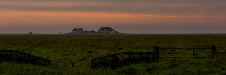 Abendglühen über der Hamburger Hallig