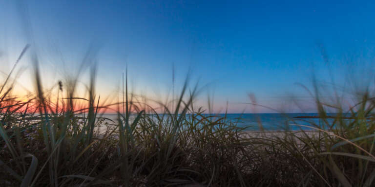 Abendlicht hinter Dünengras am Schönberger Strand