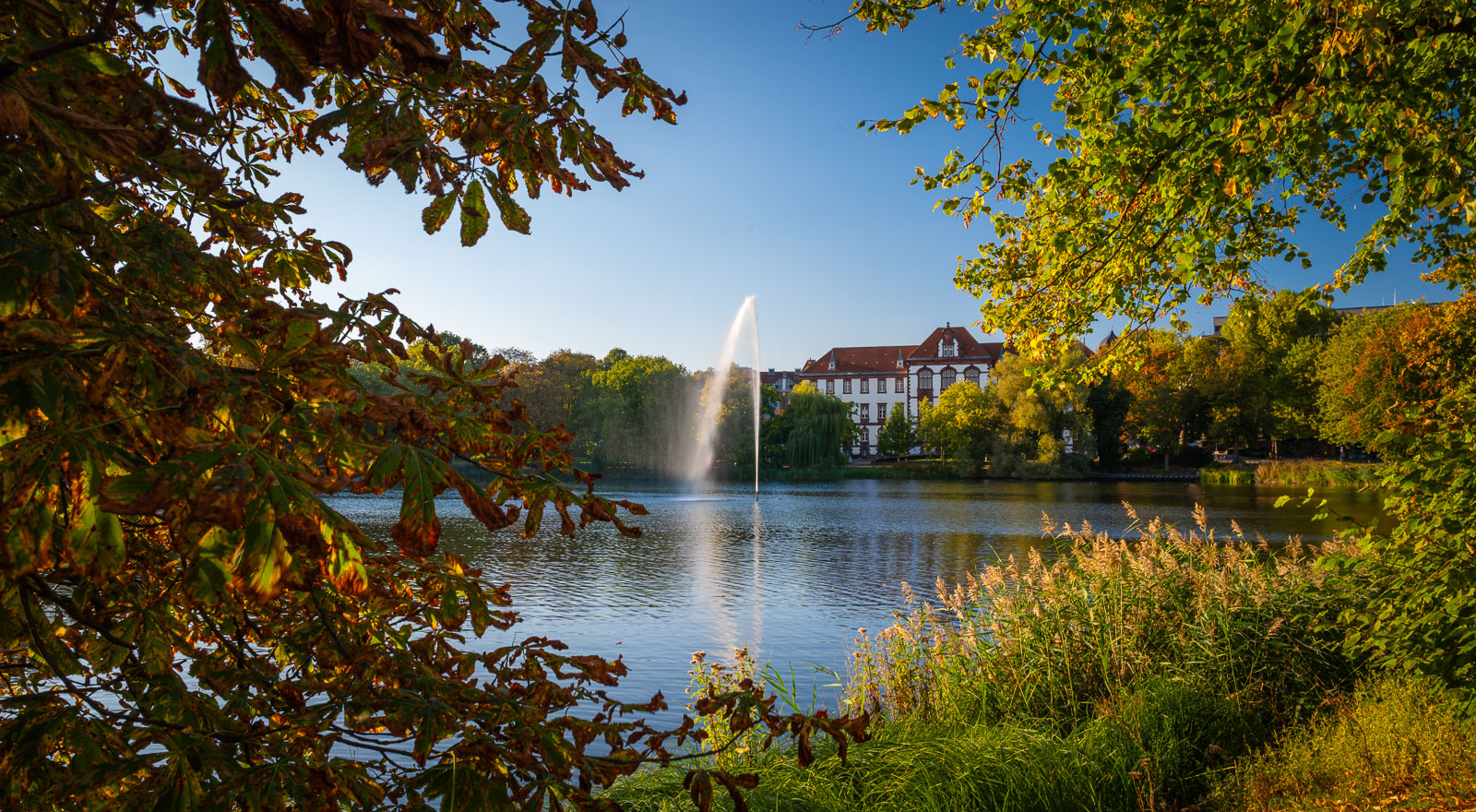Der Kleine Kiel im Herbstlicht
