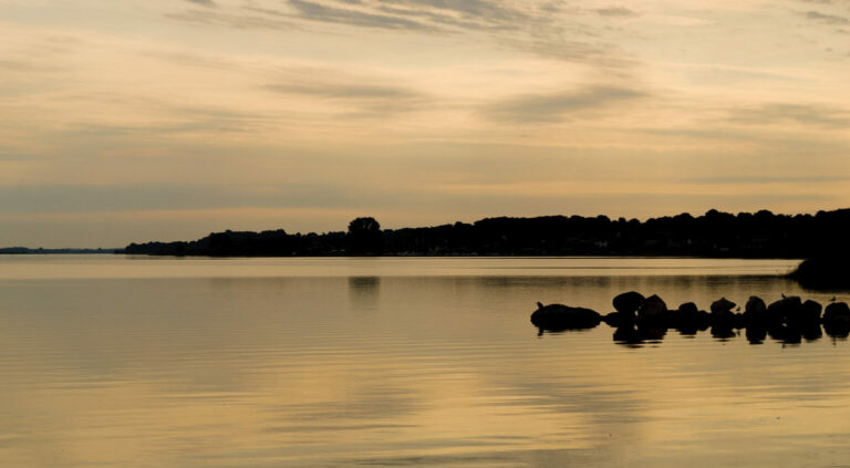 Die Schlei bei Schleswig am frühen Morgen