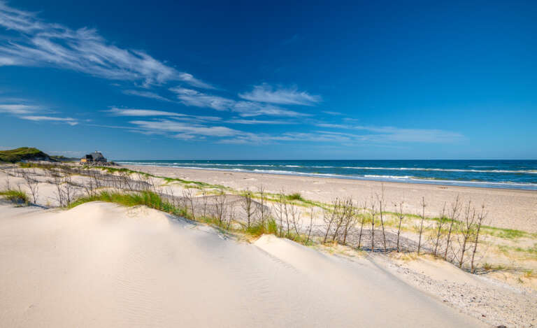 Duenen am Strand von Alt Skagen