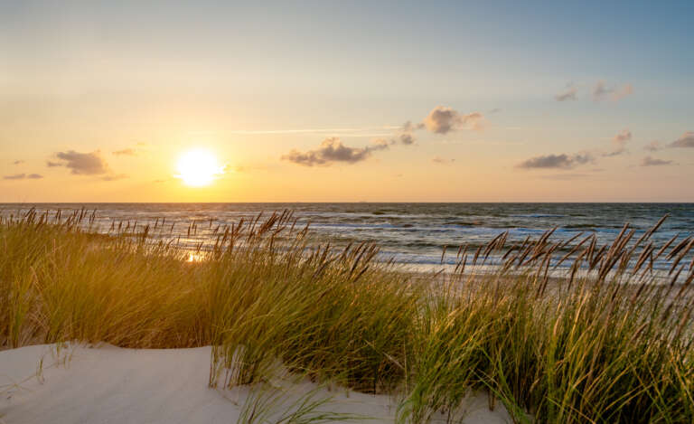 Dünen im abendlichen Sonnenlicht bei Skagen