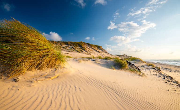 Dünen im Sturm am Skagerak