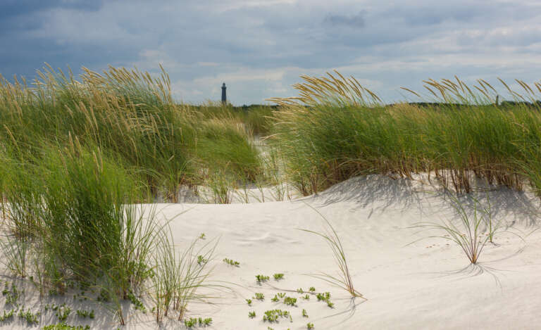 Dünen und Leuchtturm in Skagen