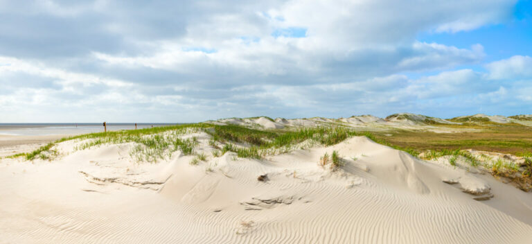 Dünen und Strand in St. Peter