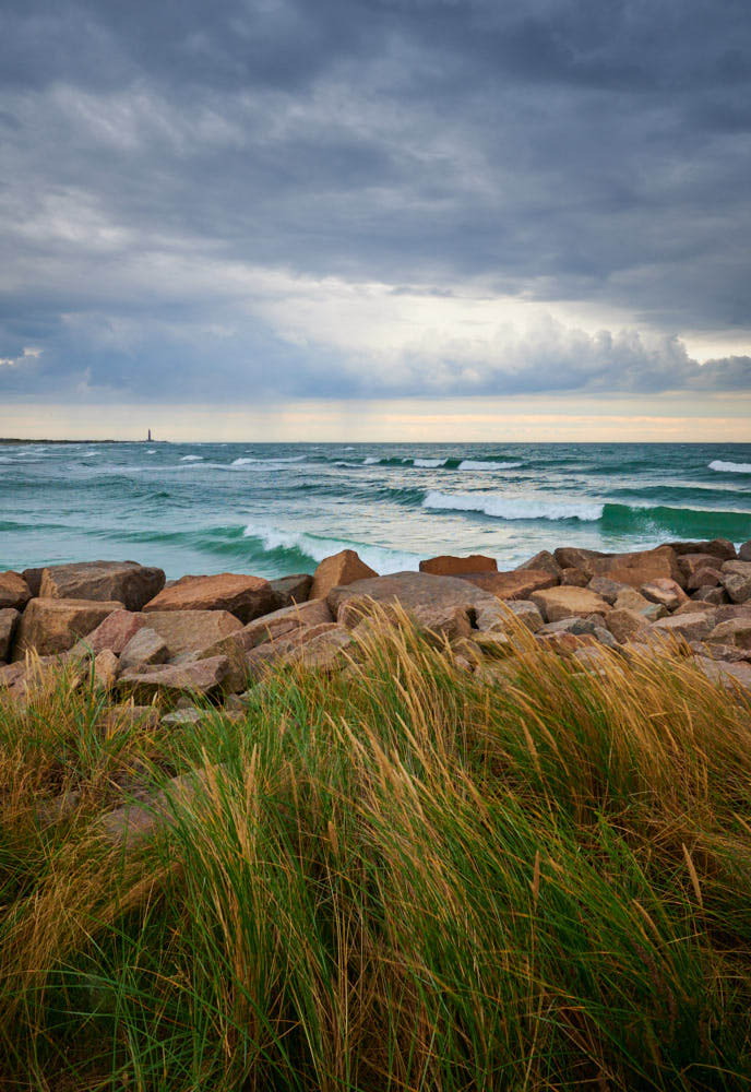 Dünengras im Sturm in Skagen