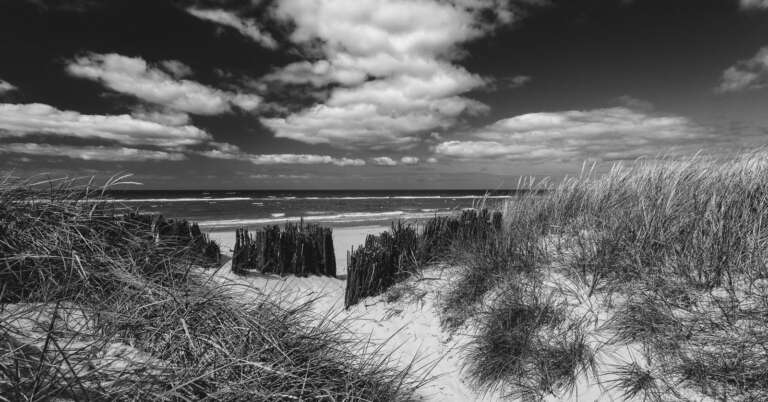 Dünenweg zur Ostsee SW