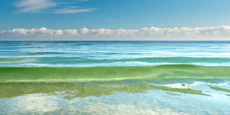 Leuchtende Welle am Sehlendorfer Strand