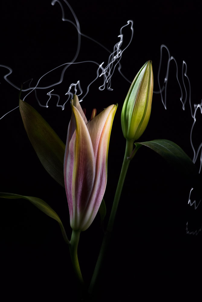 VHS-Fotokurs – <br>Von der Idee zum Bild – Experimentelle Fotografie