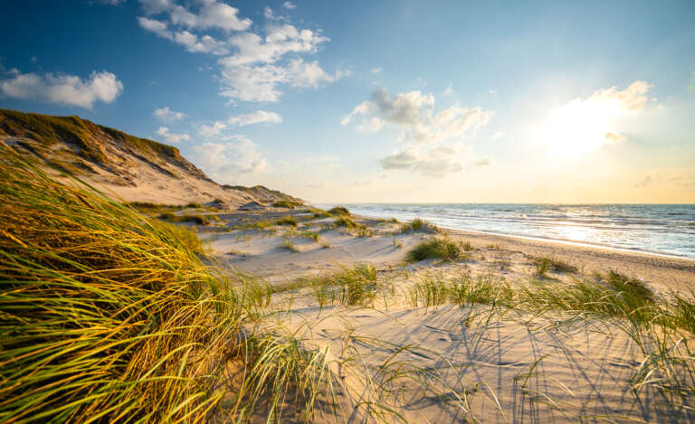 Nordseewind in den Dünnen bei Skagen