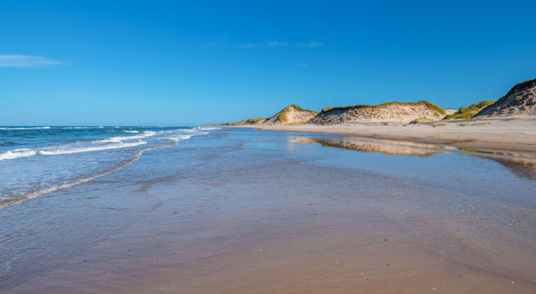 Spiegelndes Nordseeufer bei Skagen