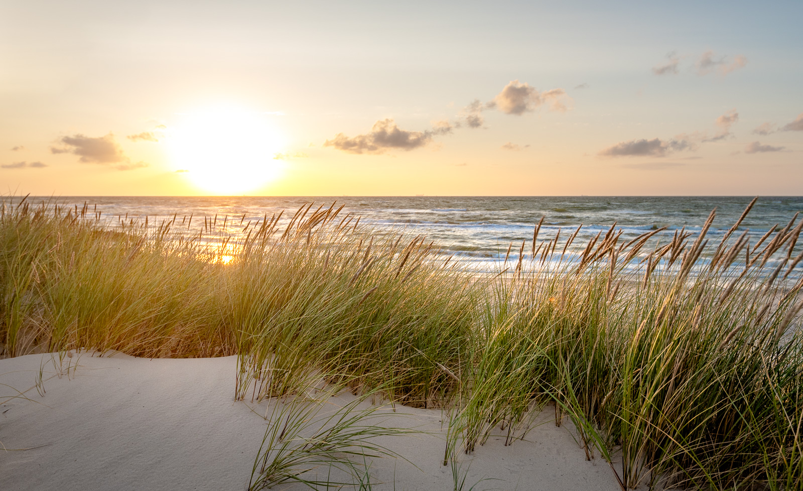 Wind über abendlichen Nordseedünen