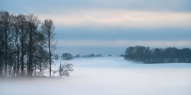 Winterfeld an der Kieler Förde