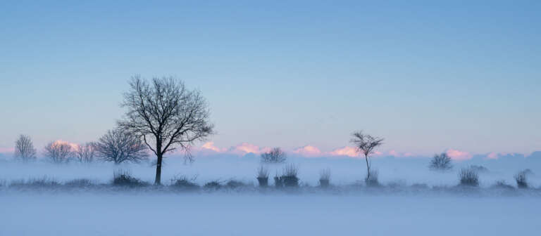 Winterknick unter blauen Himmel