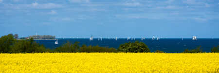 Förde im Frühlingslicht